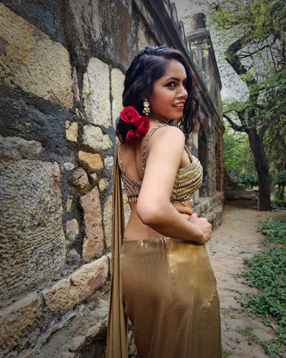 Gold squin saree